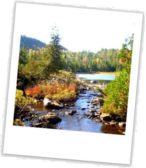 Parc de la Mauricie - Québec | Crédits photo : Anne MA© Parc de la Mauricie - Québec | Crédits photo : Anne MA©
